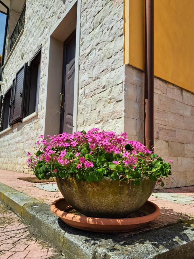 Вилла La Casa Di Mezzo-Affitti Brevi-Zona Ospedali Busso Экстерьер фото